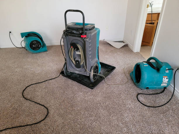 Best 24/7 water damage repair  in Lynn, MA