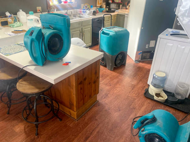 Best Water damage restoration near me  in Lynn, MA