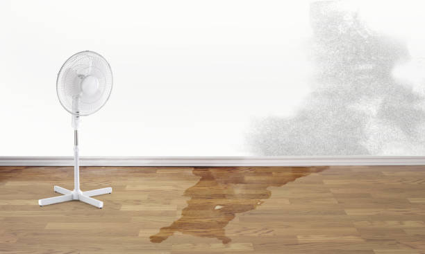 Water damage restoration mold remediation in Lynn, MA