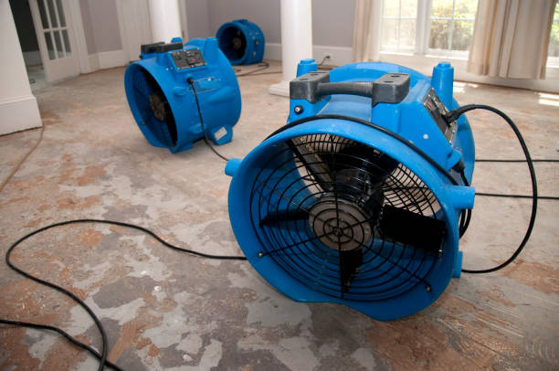 Best Local water damage restoration  in Lynn, MA