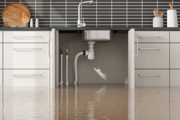 Best Fire Damage Restoration  in Lynn, MA