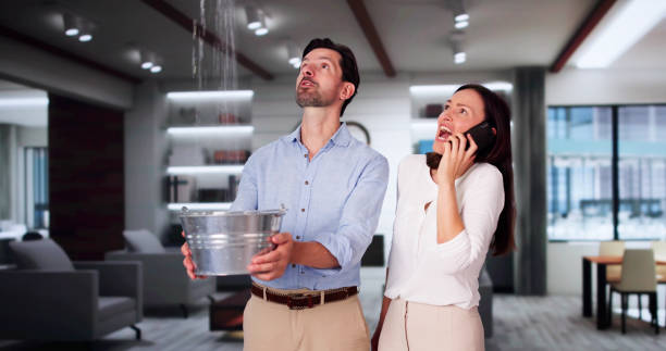 Best Carpet water damage restoration  in Lynn, MA